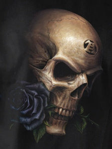 The Alchemist and his place in Gothic Folklore