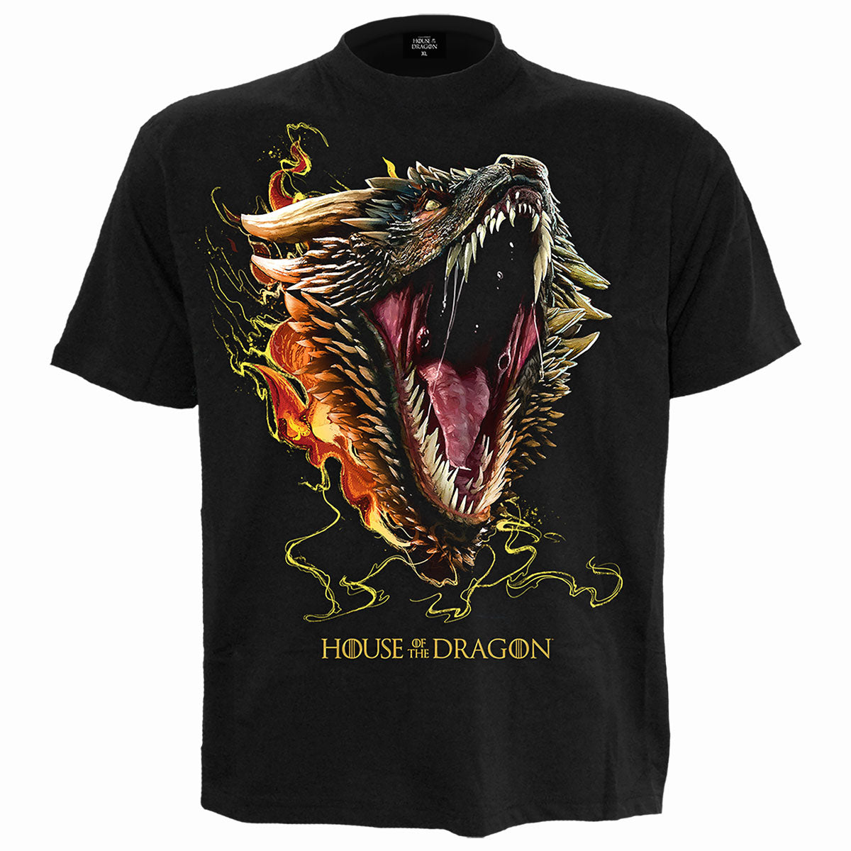 HOD2 Drogon gothic Men's Front Print T-Shirt in Black by Spiral Clothing - Front view