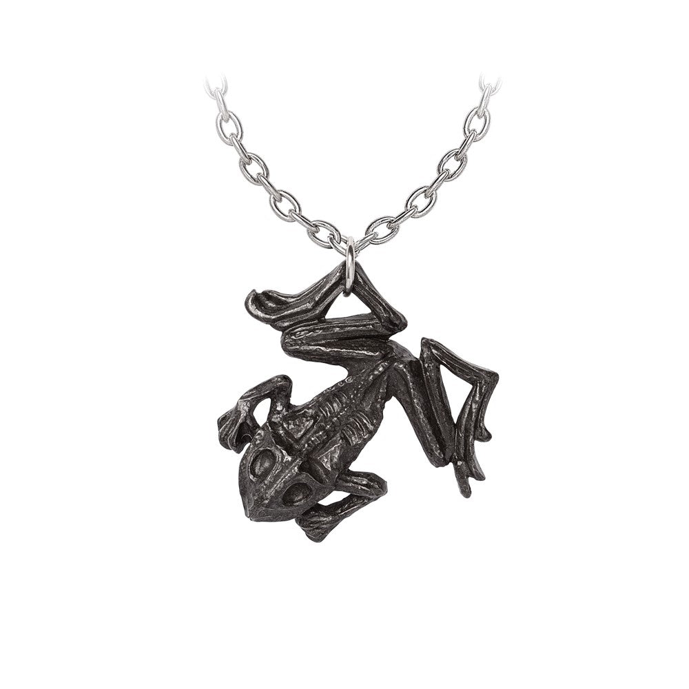 Alchemy Gothic Black Paddock Pendant