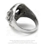 Alchemy Gothic Omega Skull Ring from Gothic Spirit