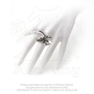 Alchemy Gothic Incy Wincy Forme Ring from Gothic Spirit