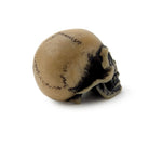 Alchemy - The Vault Lapillus Worry Skull